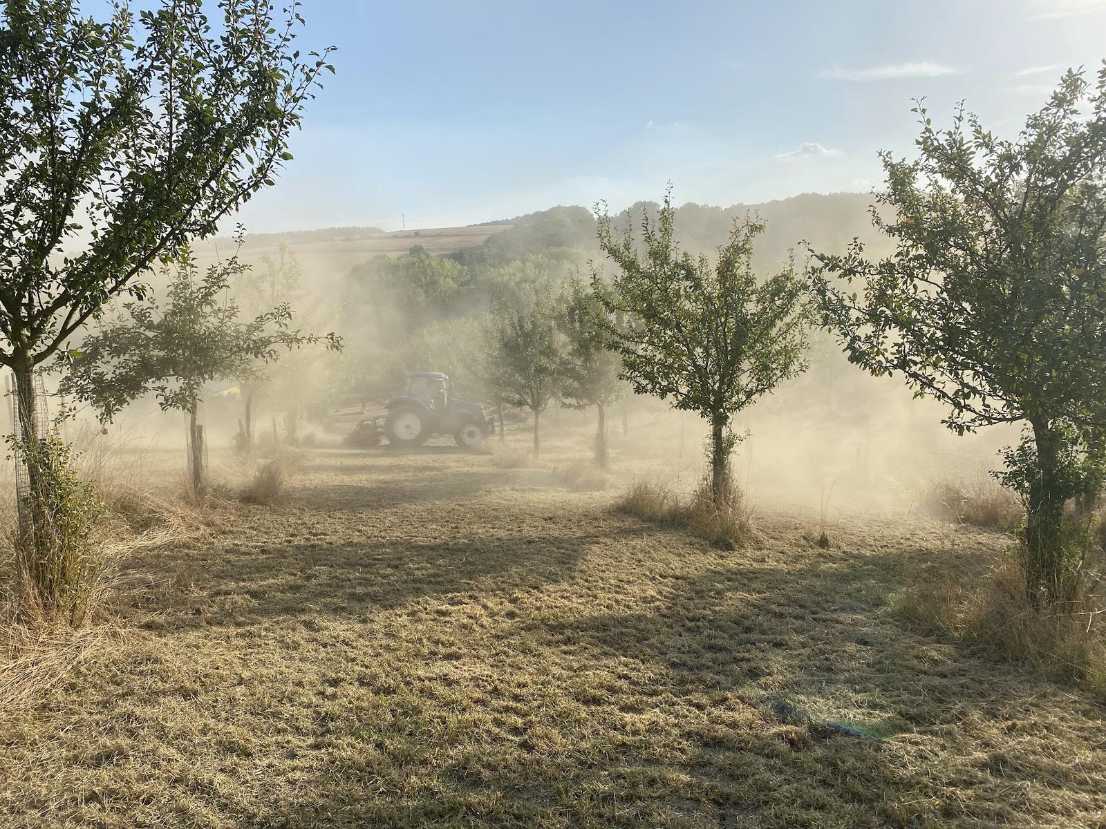 Ranní sečení v sadech